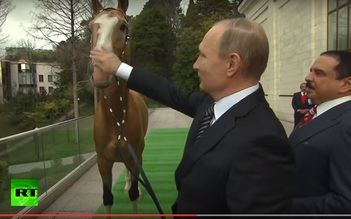 Nguyên thủ Nga - Bahrain trao đổi quà ngựa chiến và kiếm sắc