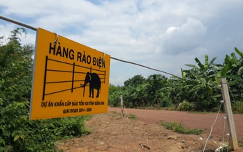 Hàng rào điện bảo vệ voi rừng hoạt động thế nào?
