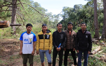 Xác định 6 nghi can triệt hạ rừng phòng hộ ở Lạc Dương, Lâm Đồng