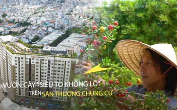 Mạnh tay chi 2 tỉ làm vườn cây siêu to khổng lồ 2.000 m2 trên nóc chung cư ở Sài Gòn