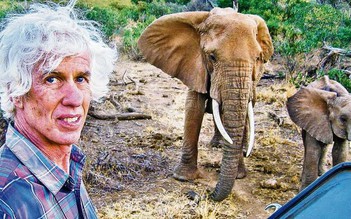 Nhà điều tra buôn lậu ngà voi nổi tiếng bị sát hại ở Kenya