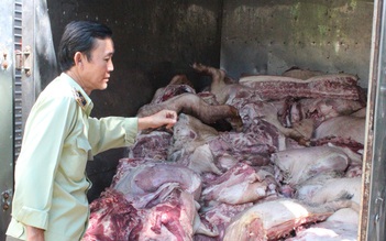 Thu mua hơn 4 tấn thịt heo chết, thối rữa nổi hạch bán ra thị trường