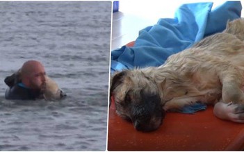 Giải cứu cún con kẹt giữa hồ đóng băng ở Thổ Nhĩ Kỳ