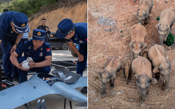 Đàn voi lớn 'khủng bố' nhiều vùng quê, Trung Quốc huy động hàng trăm người, xe đối phó