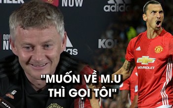 Solskjaer: "Ibrahimovic muốn về lại M.U thì cứ gọi điện cho tôi"