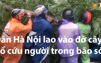 Dân Hà Nội lao vào đỡ cây đổ cứu người trong bão số 1