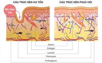 Quan điểm mới trong chăm sóc, bảo vệ làn da từ gốc