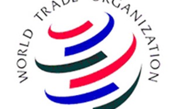 VN luôn coi trọng và thực thi nghiêm túc vai trò thành viên của WTO