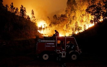 Cháy rừng ở Bồ Đào Nha, 62 người thiệt mạng