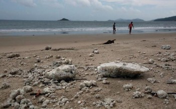 Hồng Kông đóng cửa 13 bãi biển vì tràn dầu