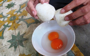 Kỳ lạ chuyện vịt đẻ trứng 2 lòng đỏ 4 năm liền ở Đà Nẵng