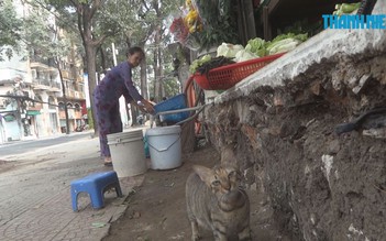 “Giải cứu” xong vỉa hè, nền nhà cao hơn vỉa hè cả mét