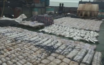 Ấn Độ bắt giữ tàu chở 1,5 tấn heroin