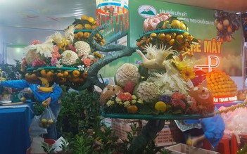 Hà Tĩnh lần đầu tổ chức lễ hội cam và các sản phẩm nông nghiệp
