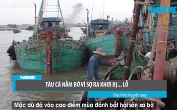 Sợ ra khơi bị lỗ nên tàu cá... nằm bờ