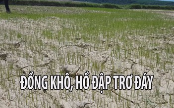 Hạn đến mức “đồng khô, lúa cháy, hồ đập trơ đáy” ở Quảng Trị