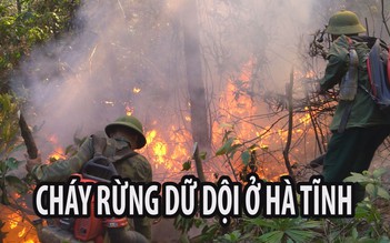 500 người căng mình dập lửa trong đám cháy rừng dữ dội ở Hà Tĩnh