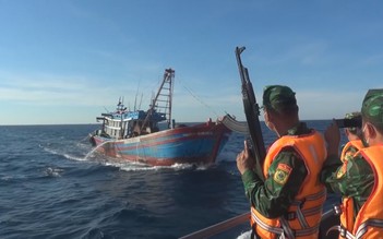 Truy bắt 2 tàu giã cào tận diệt hải sản trên vùng biển gần bờ Quảng Trị