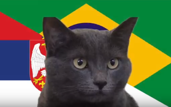 Tiên tri mèo đen tái xuất và dự đoán Brazil quật ngã Serbia