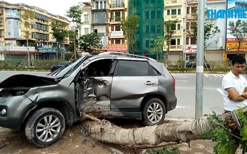 Hà Nội: Xe 7 chỗ tông 'gục' cây xanh trên đường Võ Chí Công