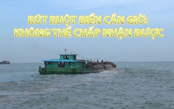 Rút ruột biển Cần Giờ: Không thể chấp nhận được, phải khởi tố hình sự