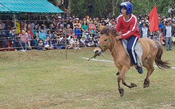 Thú vị với cuộc đua ngựa thồ có một không hai ở Việt Nam