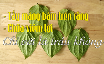 Mẹo vặt: Đánh bay mảng bám trên răng, chữa viêm lợi với lá trầu không