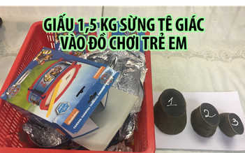 Giấu 1,5 kg sừng tê giác vào đồ chơi trẻ em