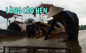 Làng cào hến hơn 300 năm ven sông La ở Hà Tĩnh