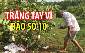 Bão số 10 đi qua, người dân khốn đốn vì trắng tay