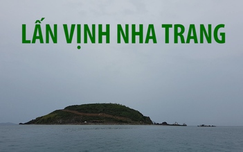 Doanh nghiệp làm dự án trên đảo Rùa bị phạt vì lấn vịnh Nha Trang