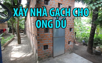 Xây nhà gạch nuôi ong dú, mỗi năm thu hàng trăm triệu