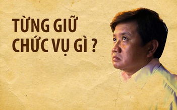 Ông Đoàn Ngọc Hải từng làm gì?