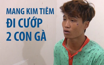 Dùng kim tiêm “trấn lột” 2 con gà để lấy tiền mua ma túy