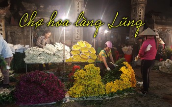 Chợ hoa làng Lũng: lung linh giữa đêm đất Cảng