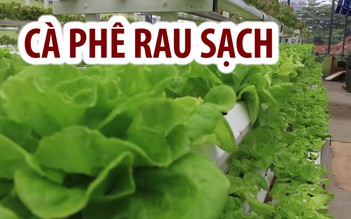 Độc đáo cà phê rau sạch