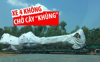 Không mang bằng lái, vẫn ngang nhiên chở cây “quái thú” ra Hà Nội