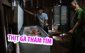 Chủ lò mổ có 80 kg gà thâm tím: Thịt gà chết cho cá sấu ăn