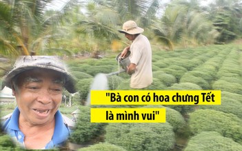 Người trồng hoa ở Trà Vinh gặp khó khăn vì thời tiết thất thường