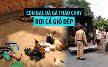 Đang đá gà bị công an bao vây, con bạc tháo chạy rơi lại 1 giỏ dép