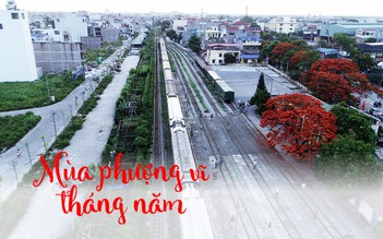 FLYCAM | Ngắm phượng đỏ nở rực cạnh đường sắt đẹp nhất Hải Phòng