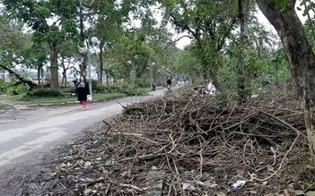 Đường Trịnh Công Sơn ở Huế ngổn ngang rác vì bị “lãng quên” sau bão lũ