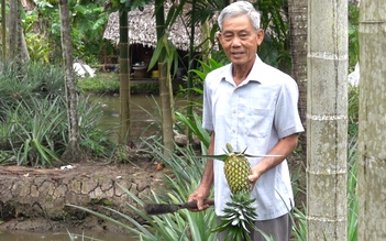 Cụ ông 75 tuổi thu tiền tỉ mỗi năm nhờ vườn cau, khóm, dừa