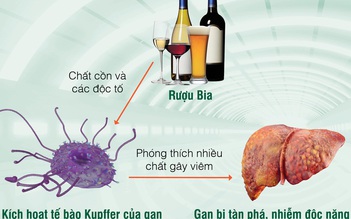 ‘Cứu’ gan trước vấn nạn bia rượu