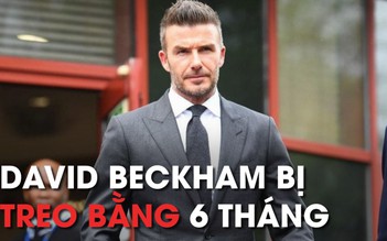 David Beckham bị cấm lái xe 6 tháng, vì đâu nên nỗi?