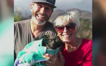 Giải cứu chó con lọt xuống hố sâu 10m tại California