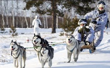 Thế kỷ 21, chó husky vẫn là đồng đội đắc lực của lính Nga tại Bắc Cực