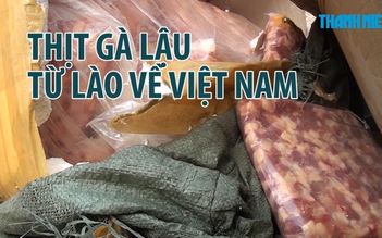 Vận chuyển 400 kg thịt gân gà nhập lậu từ Lào bằng xe không biển số