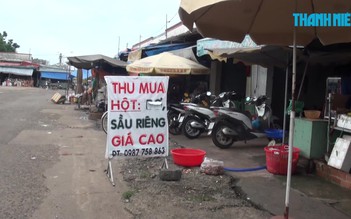 Đồng Nai: Hạt sầu riêng được thu mua giá cao
