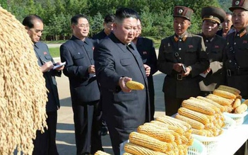 Triều Tiên có nguy cơ thiếu lương thực trầm trọng trong các tháng tới